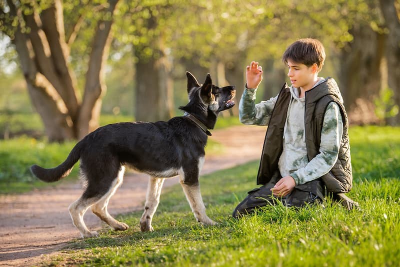 Изображение: Роспотребнадзор напоминает о рекомендациях при укусе животного.