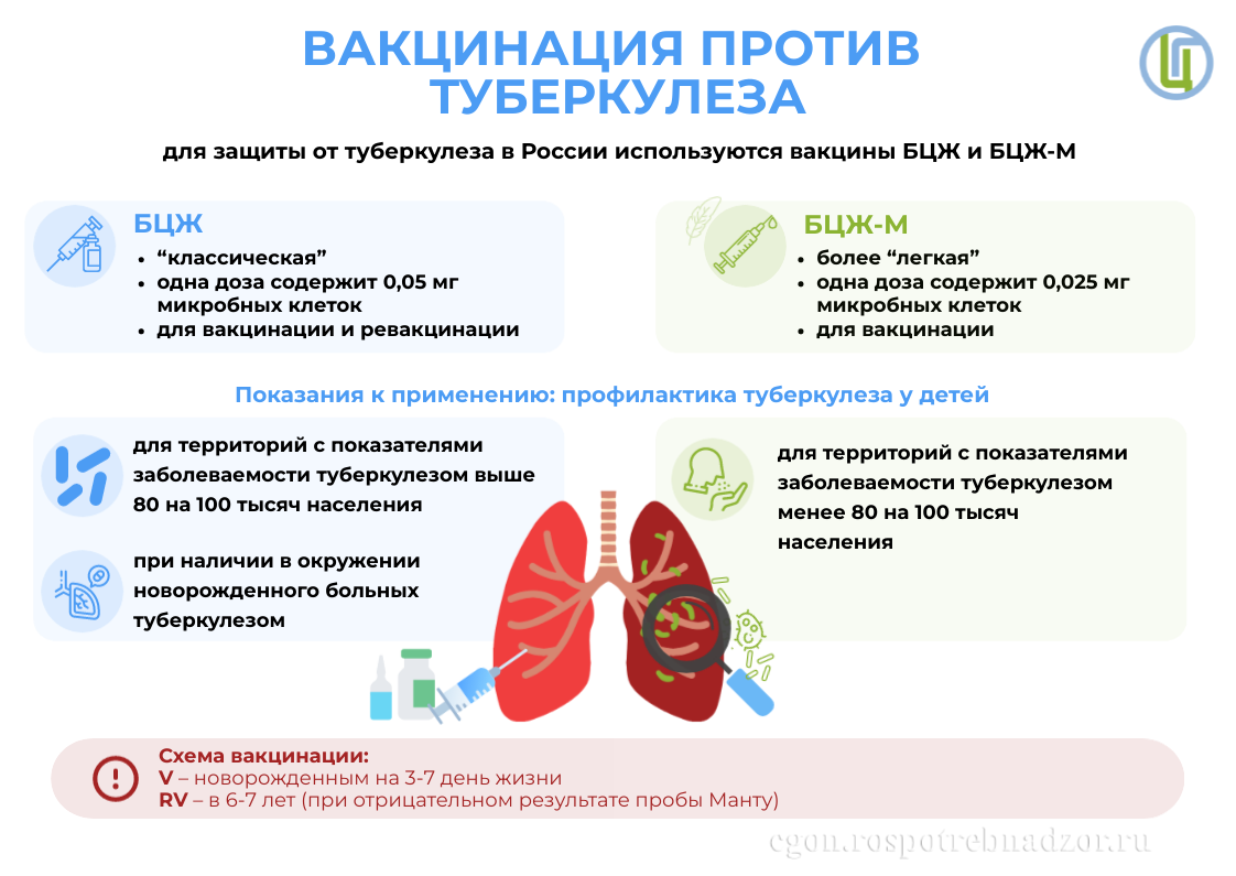 Изображение: Вакцина против туберкулеза